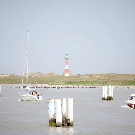 Apartment In By The Beach, Cleaning Included Nieuwpoort
